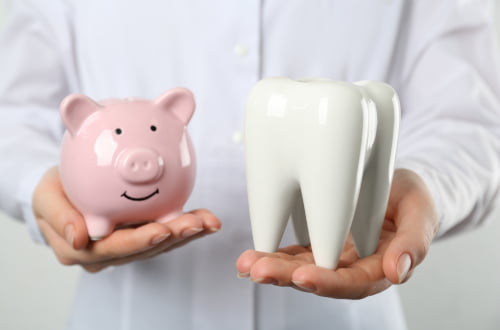 Dentist holding a tooth model and a piggy bank representing dental treatment cost and financing options in Vaughan
